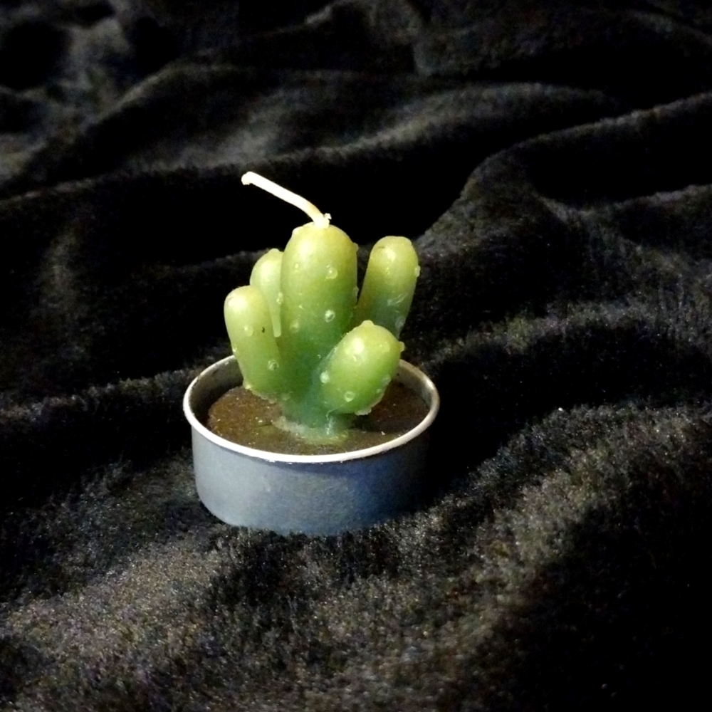 Cactus Candle